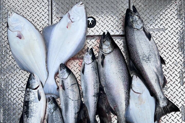 Ketchikan Salmon and Halibut Fishing Combo (5-Hour Guided Charter) photo 5