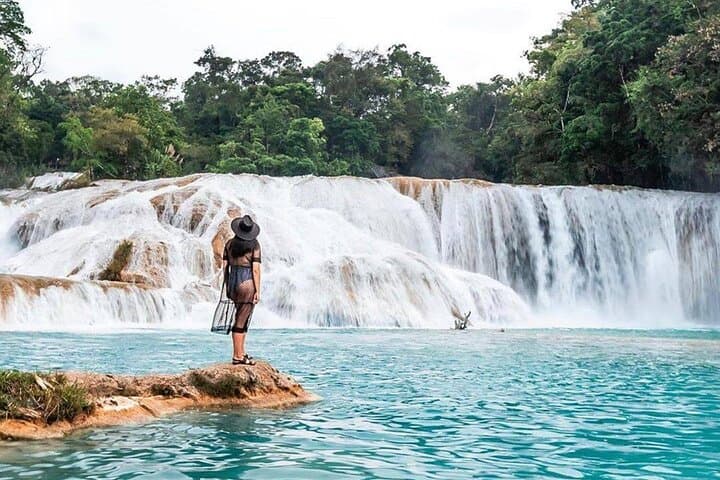 Dawn Drive to Agua Azul, Misol-Há and Palenque: Full-Day Waterfall and Mayan Ruins Tour from San Cristóbal