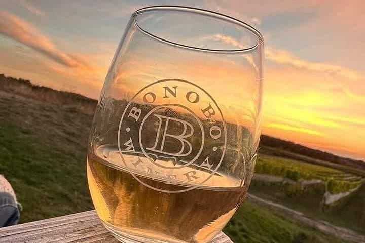 Traverse City 2-Day Non-Bus Wine Tour: Old Mission & Leelanau VIP Experience photo 3