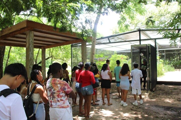 Barton Creek Cave & Butterfly Farm: Canoe the Ancient Mayan Waterway Near San Ignacio photo 4
