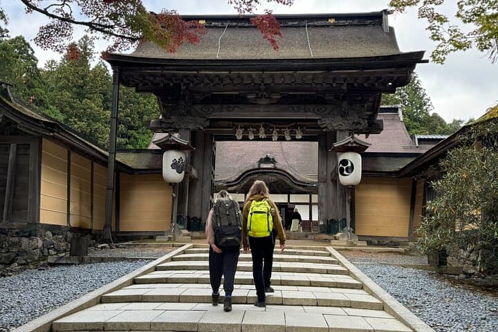 Koyasan Day Trip from Osaka: Private Tour to Kii Peninsula UNESCO Site