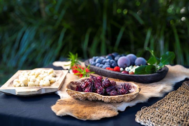 Bangalow Native Bush Food Tour — Bundjalung Bush Tucker Walk near Byron Bay