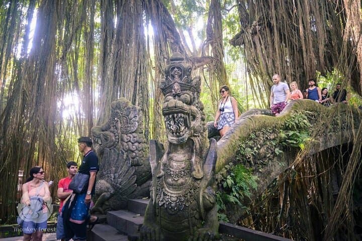Ubud Day Tour: Monkey Forest, Tegalalang Rice Terraces & Tirta Empul photo 4