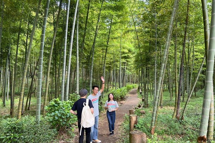Beppu Onsen in Nature: Private Bamboo Grove Hot Spring & Jigokumushi Tasting photo 2