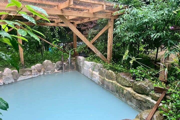 Beppu Onsen in Nature: Private Bamboo Grove Hot Spring & Jigokumushi Tasting photo 4
