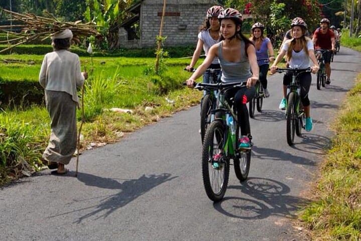 Bali Village Cycling Through Rice Fields, Subak Irrigation & Firefly Viewing