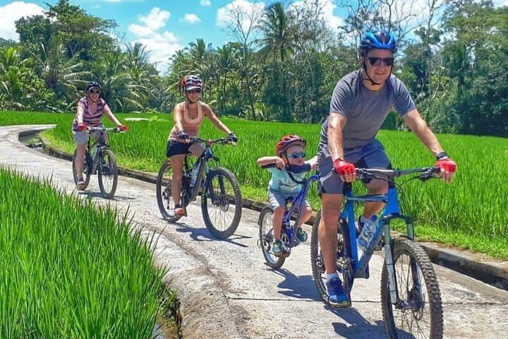 Bali Village Cycling Through Rice Fields, Subak Irrigation & Firefly Viewing photo 4