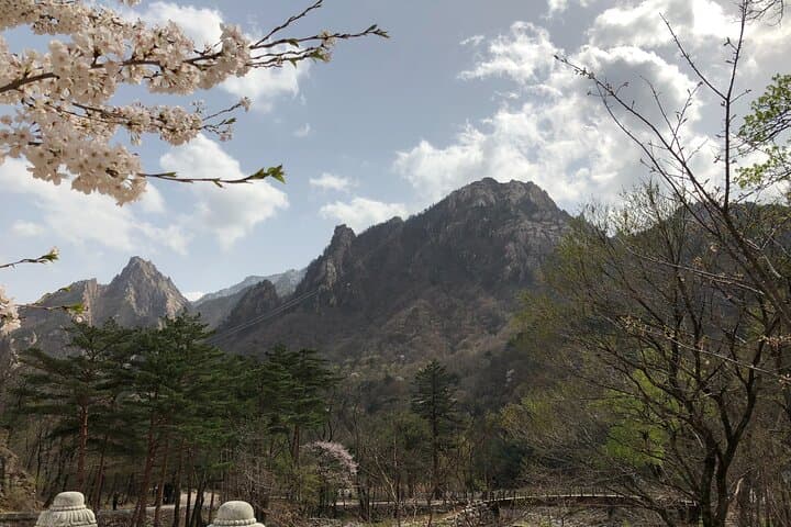 Seoraksan & Yeongrangho Cherry Blossom Day Trip from Seoul: Hike Seorak and Lake Blooms photo 4