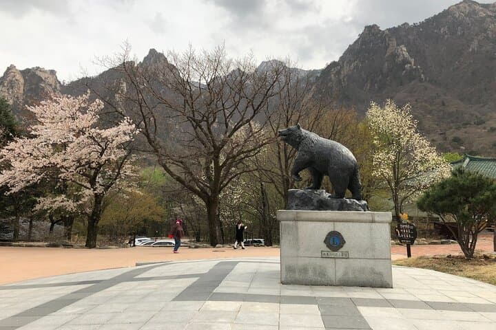 Seoraksan & Yeongrangho Cherry Blossom Day Trip from Seoul: Hike Seorak and Lake Blooms photo 2