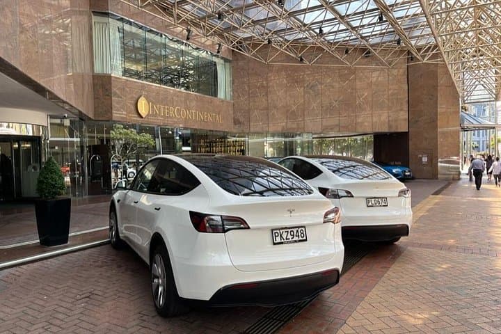Luxury Wellington Private Tesla Tour: City Sights & Scenic Bay Drive photo 3