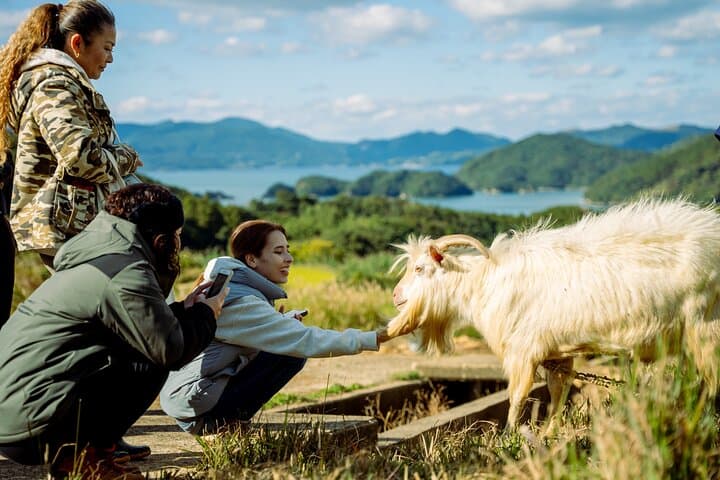 Kujukushima Terraced Rice Field Walk — Farmer-Guided Satoyama Experience photo 3