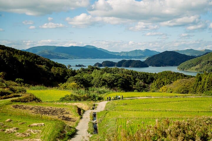 Kujukushima Terraced Rice Field Walk — Farmer-Guided Satoyama Experience photo 4
