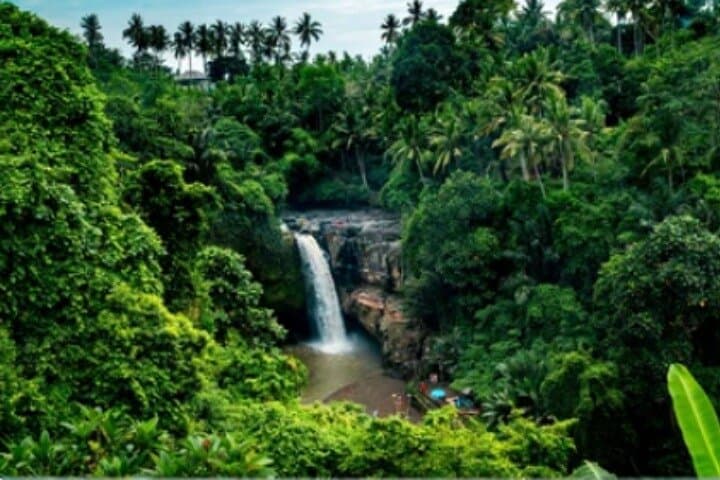 Ubud Day Tour: Waterfall, Temple, Rice Terraces & Monkey Forest Explained photo 2