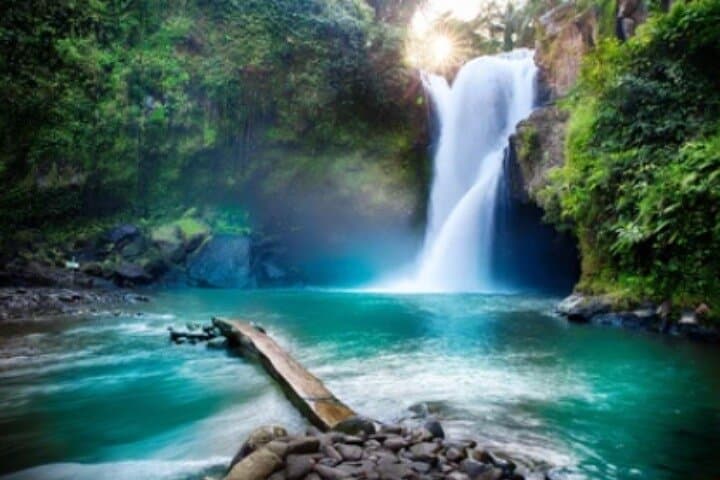Ubud Day Tour: Waterfall, Temple, Rice Terraces & Monkey Forest Explained