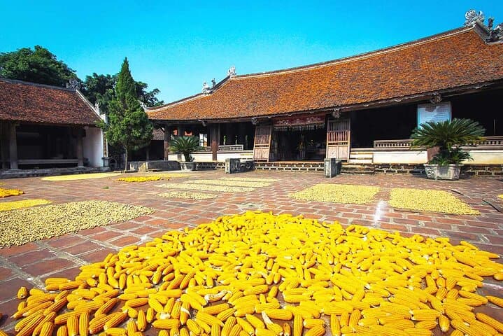 Hanoi Private Tour: Duong Lam Ancient Village, Quang Phu Cau Incense & Chuong Conical-Hat Village photo 2