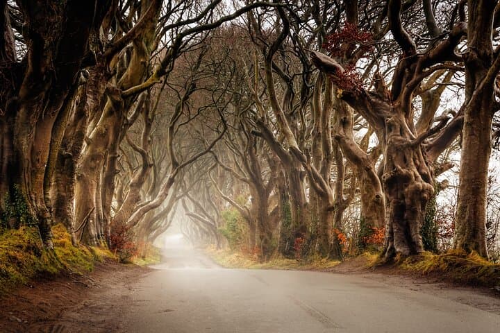 Giants Causeway & Antrim Castles Day Tour from Belfast photo 6