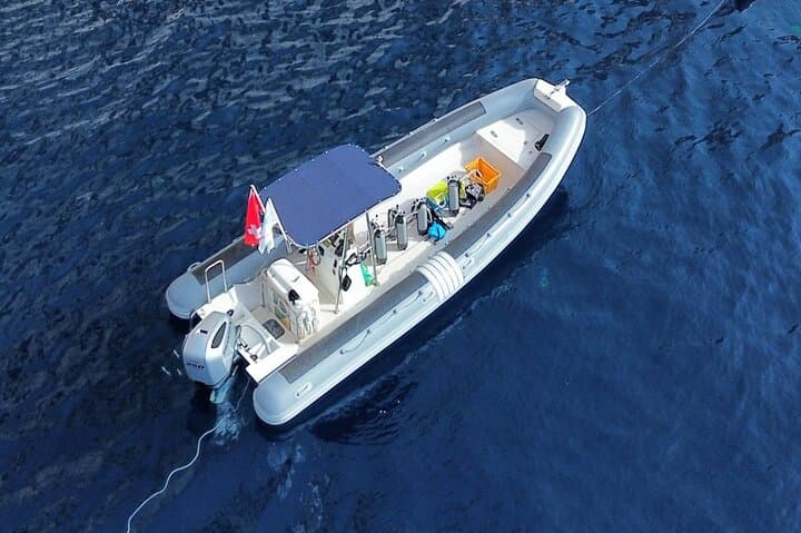 Snorkeling Tavolara & Molara from San Teodoro — A Marine Protected Area Day Trip photo 4