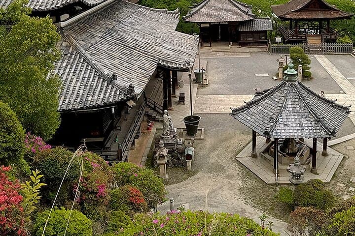 Kamakura Half-Day Walking Tour: Temples, Shrines & Local Secrets photo 6