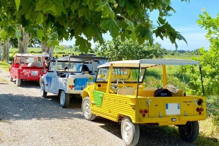Self-Drive Vintage Car Tour Through Provence to Pont du Gard