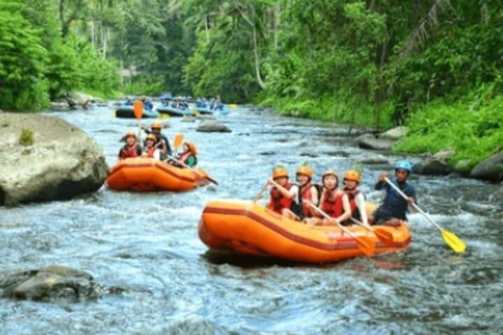 Ubud Ayung River Rafting: Bali White-Water Adventure with Lunch & Transfer photo 2