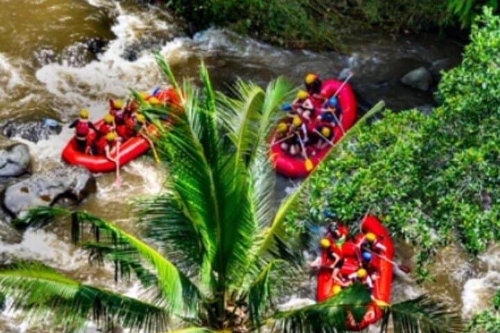 Ubud Ayung River Rafting: Bali White-Water Adventure with Lunch & Transfer