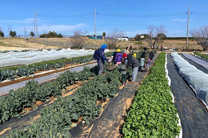 Miura Peninsula Farm-to-Table Excursion & Fresh Seafood Barbecue from Tokyo photo 2