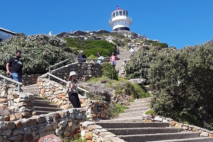 Cape Peninsula Day Tour — Cape Point, Penguins & Hout Bay Seals