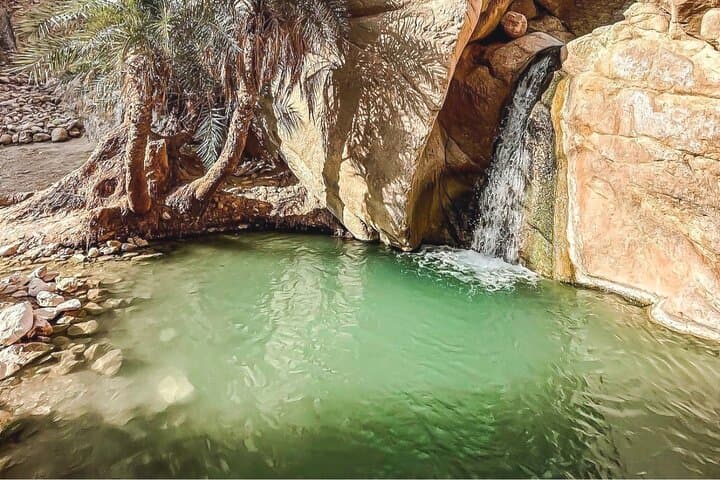 Explore Tunisia in Depth: 8-Day Private Grand Tour from Tunis photo 5