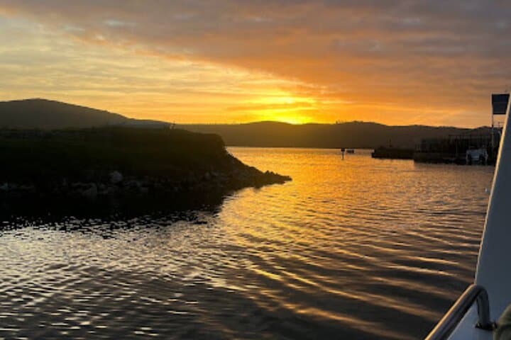 Knysna Sunset Cruise: Wine, Oysters & Heads at Dusk photo 5