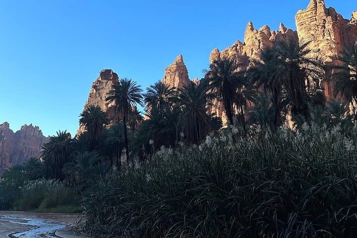 Wadi Al Disah Tour: Day Trip from Tabuk into Disah Valley photo 5