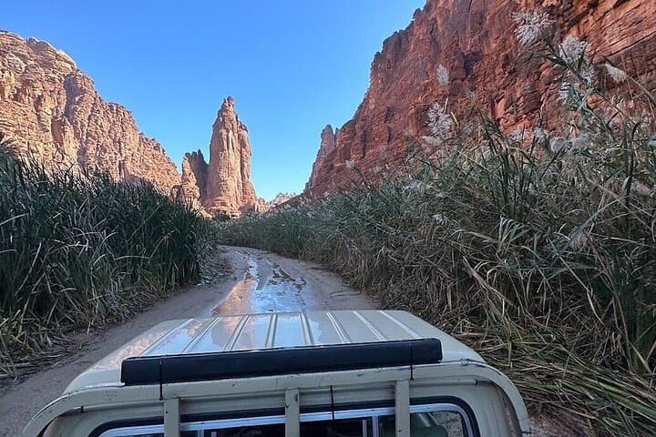 Wadi Al Disah Tour: Day Trip from Tabuk into Disah Valley photo 6