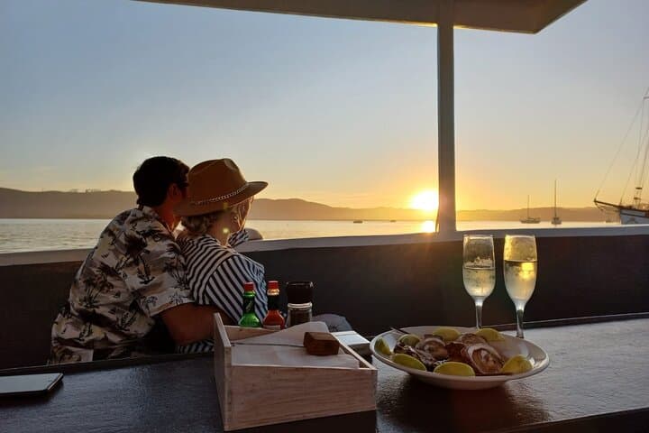 Knysna Sunset Cruise: Wine, Oysters & Heads at Dusk photo 6
