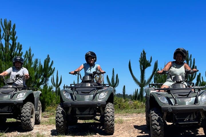 Knysna Forest Quad Biking: 2-Hour Guided ATV Adventure photo 4