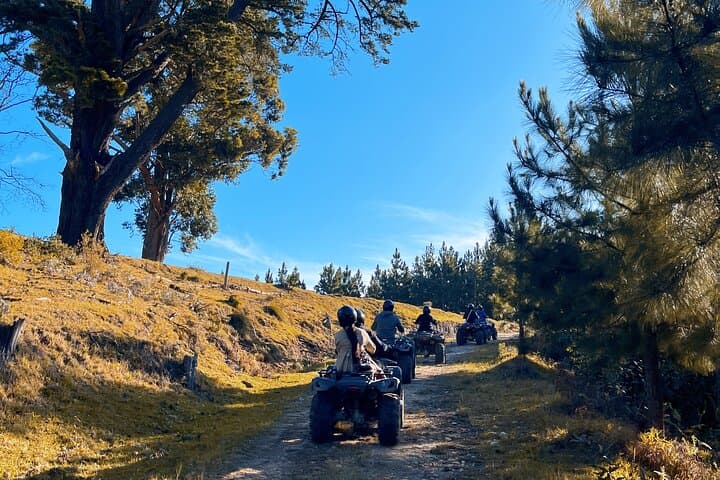 Knysna Forest Quad Biking: 2-Hour Guided ATV Adventure photo 5