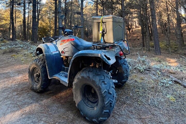 Knysna Forest Quad Biking: 2-Hour Guided ATV Adventure