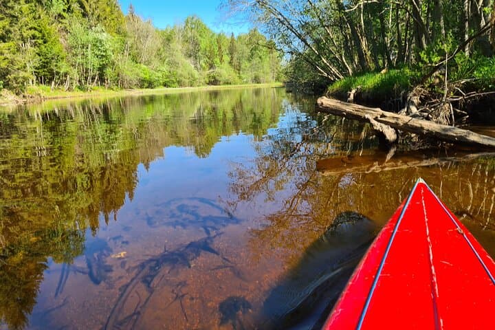 Paddle Bogstadvannet: Kayak & Canoe Tour Past Bogstad Manor and Bjørnsgard photo 5
