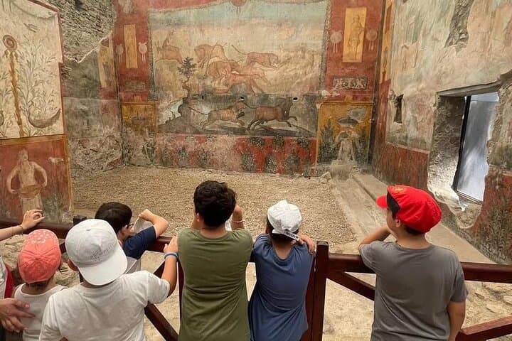 Sorrento to Pompeii and Mount Vesuvius — Full-Day Guided Tour photo 5