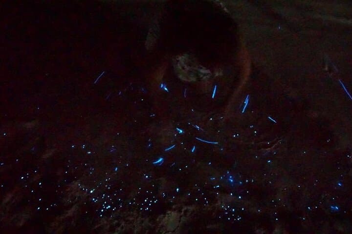 Kayaking Holbox’s Bioluminescent Waters at Punta Mosquito photo 4