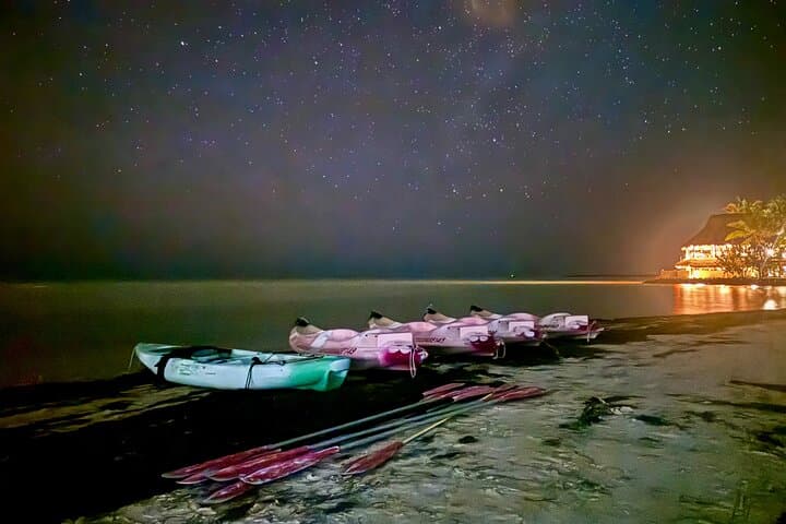 Kayaking Holbox’s Bioluminescent Waters at Punta Mosquito