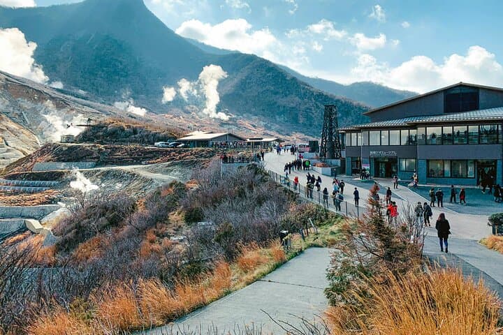 Mt. Fuji & Hakone Private Day Tour from Tokyo — 10-Hour Customizable Drive, Ropeway & Lake Ashi Cruise photo 6