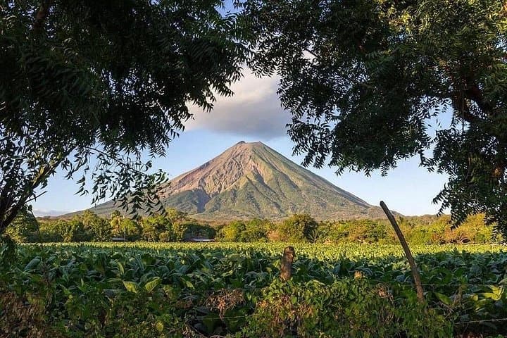 Full-Day Ometepe Island Tour from Granada: El Ceibo, Charco Verde & Ojo de Agua photo 3