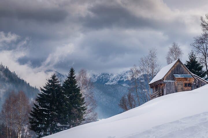Bran Castle, Transylvania Amphitheater & Alpine Coaster Day Trip from Brasov photo 5