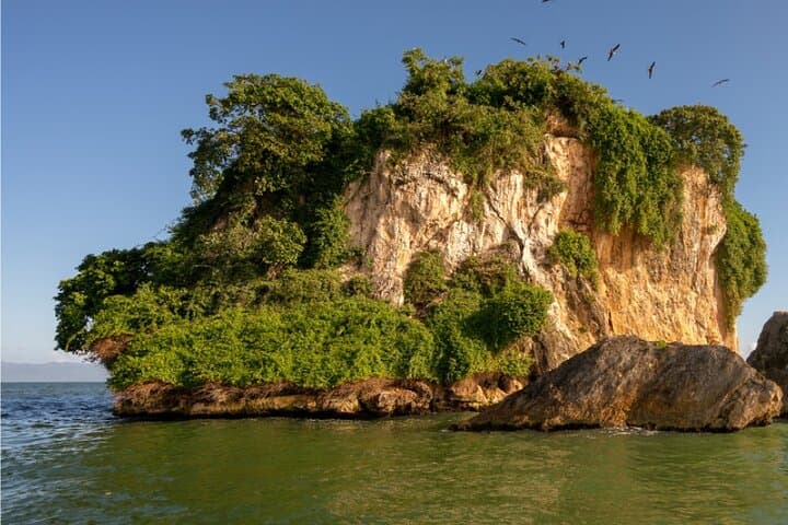 Full-Day Samaná Adventure: Cayo Bacardi (Cayo Levantado) & Los Haitises from Punta Cana