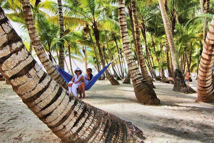 Saona Island Day Trip from Punta Cana — Catamaran Cruise, Natural Pool & Open Bar photo 4