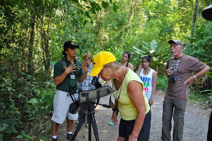 Explore Manuel Antonio National Park: Guided Wildlife Walk from Jaco and Los Suenos photo 3