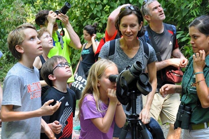 Explore Manuel Antonio National Park: Guided Wildlife Walk from Jaco and Los Suenos photo 5