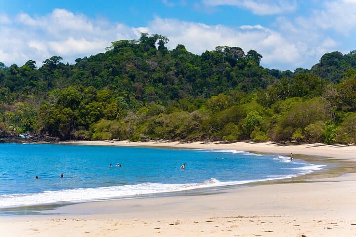 Explore Manuel Antonio National Park: Guided Wildlife Walk from Jaco and Los Suenos photo 2