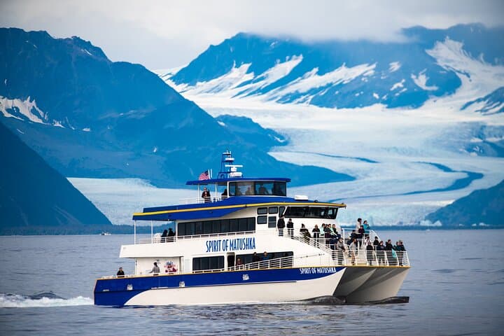 Resurrection Bay Spring Wildlife Cruise - Gray Whales & Alaska Marine Life photo 1