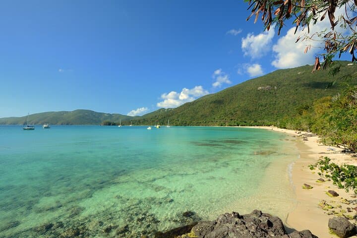 Snorkel with Sea Turtles in St. Thomas — Beginner-Friendly Beach Snorkel (2 hrs) photo 4