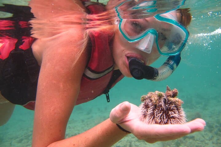Snorkel with Sea Turtles in St. Thomas — Beginner-Friendly Beach Snorkel (2 hrs) photo 3